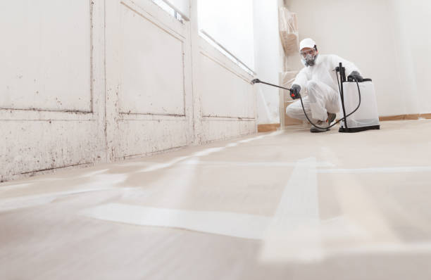 Trusted Mold Inspection service in Saint Johns, FL - WQB Mold Removal