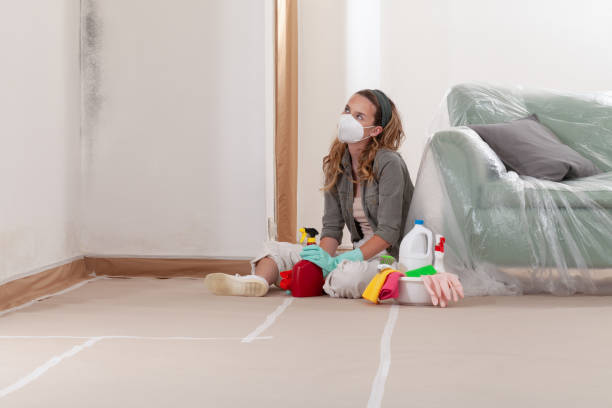 Reliable Mold Inspection contractor in Saint Johns, FL by WQB Mold Removal